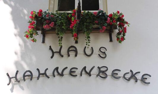 Detailansicht der Fassade mit Fenster und Blumenkasten sowie dem Schriftzug aus Hufeisen von Hotel Pension Haus Hahnenbecke.